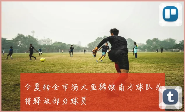 今夏转会市场大鱼稀缺南方球队或将释放部分球员