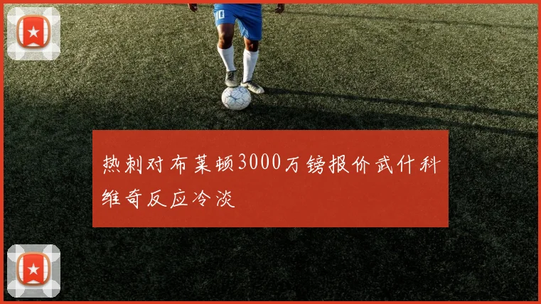 热刺对布莱顿3000万镑报价武什科维奇反应冷淡